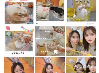 长沙探店| 超可爱的安哥拉兔 爱玩萌兔