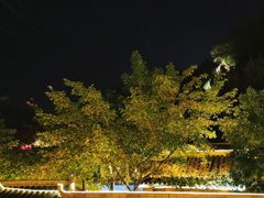 -巴倒烫陆派火锅山庄(南山总店)