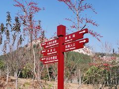 -佛慧山