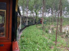 -合肥滨湖国家森林公园