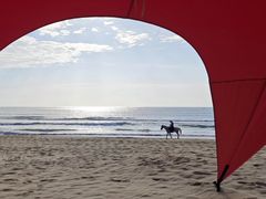 -海南清水湾莱佛士酒店