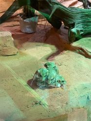 -Zoolung Zoolung动物主题公园(海信广场店)