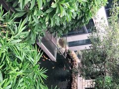 -寻味顺德·顺峰山庄(大良店)