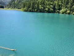 -九寨沟-树正沟