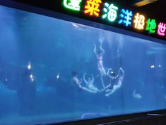 -蓬莱欧乐堡海洋极地世界