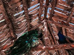 -水上乐园·欢乐世界