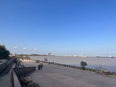 -上海滨江森林公园