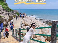 -广东惠东海龟国家级自然保护区