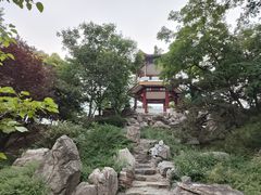 -莲花池公园