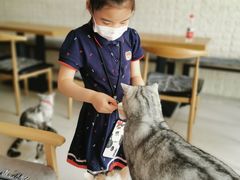 -平行世界·猫咖(首经贸店)