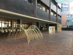 -香港大学