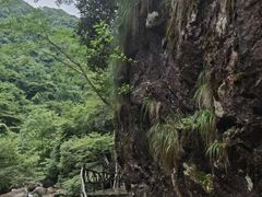 -白云源风景区