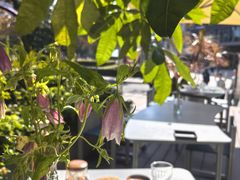 -一坐一忘云南菜(嘉里中心店)
