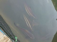 -海上驿站渔家菜馆