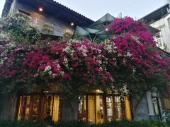 -随善园餐厅(大理店)