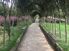 -武汉紫薇都市田园