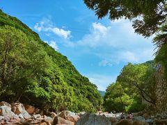 -秦岭风景区