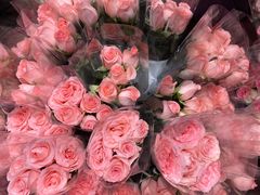 -循礼门鲜花花市(武汉循礼门店)