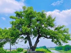 -乌龙涧铁道铁轨景