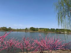 -东郊湿地公园