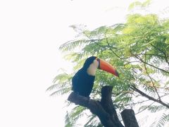 -灵玲国际马戏城