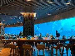 -涛·海底餐厅·美人鱼·自助餐·海底隧道(三亚海棠湾洲际度假酒店)