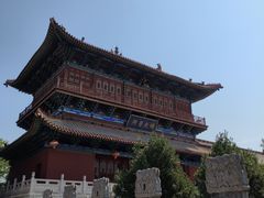 -大槐树寻根祭祖园