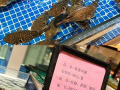 -渔人码头(中南店)