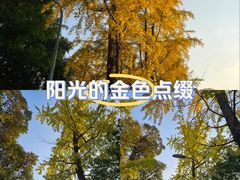 -四川大学(望江校区)