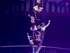 -俄罗斯国家大马戏团