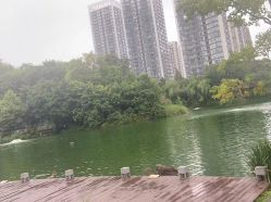 -金芙美月子中心(财富别墅店)
