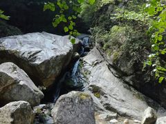 -牛背梁国家森林公园