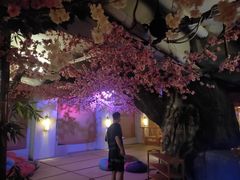 -漢頓温泉度假酒店