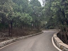 -云龙山