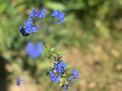 -沕沕水生态风景区