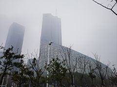 -天鹅湖体育公园