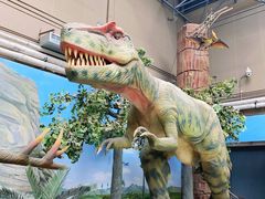 -国家自然博物馆