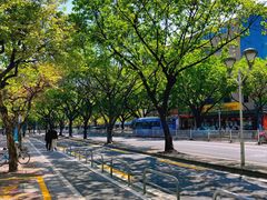 -佛山市图书馆(祖庙路分馆)
