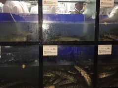 水产区-严厨老坛酸菜鱼(吴江万宝店)
