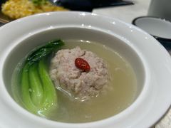 -丁老爷子苏香圆