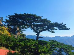 -圣莲山风景区