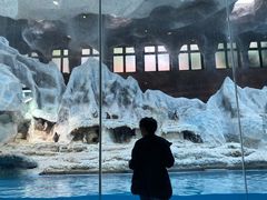 -帝企鹅自助餐厅•儿童岛•真企鹅(长隆企鹅酒店)