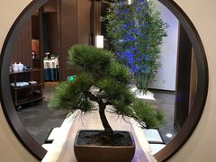 -松鹤楼·非遗·苏帮菜(融科店)