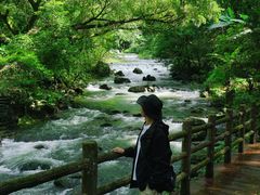 -广州市石门国家森林公园