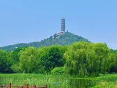 -北坞公园