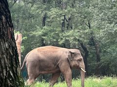 -北京野生动物园