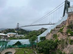 -西霞口神雕山野生动物世界