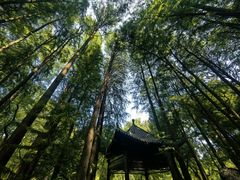 -东湖落雁景区