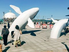 -在海一方公园