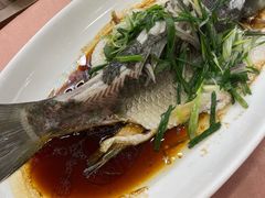 -海晖酒楼·顺德鱼生(荣华店)